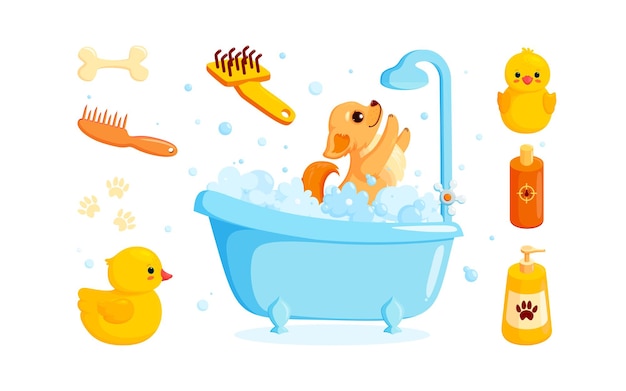 Dog grooming in a bath with pet shampoo combs and rubber ducks Playful chihuahua puppy in foam