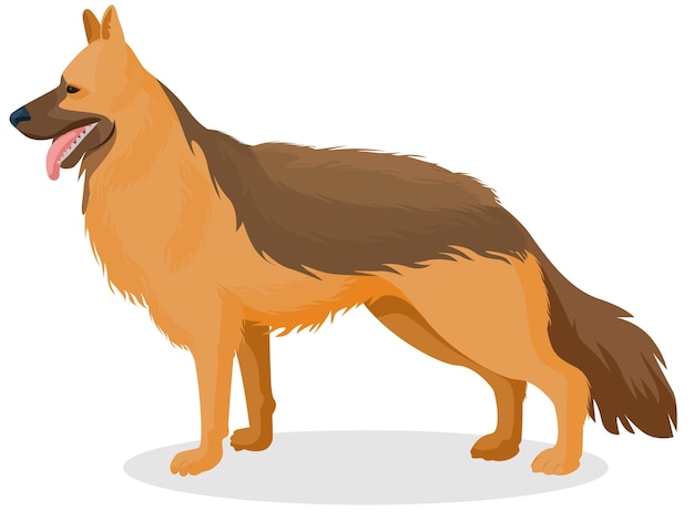 Dog illustration