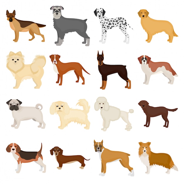 Dog muzzle  cartoon set icon. Isolated cartoon set icon animal.   dog muzzle  .