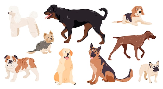 dog pure breeds set