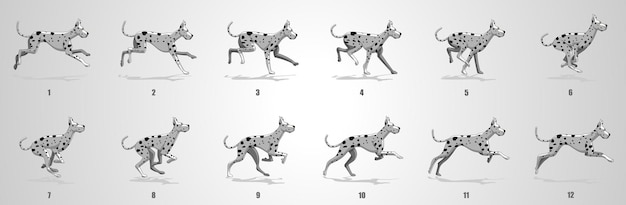 Dog Run cycle animation sequence