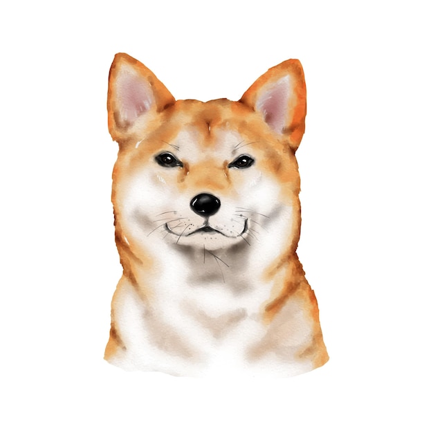 Dog Shiba Inu watercolor painting Adorable puppy animal isolated on white background Realistic cute dog portrait vector illustration