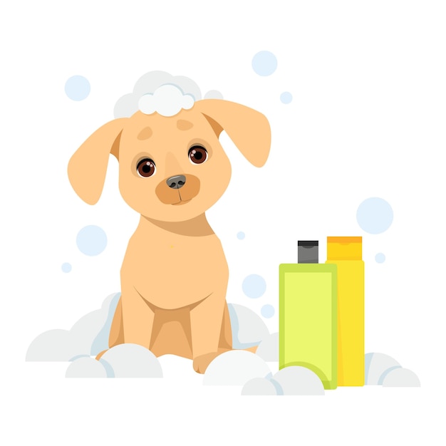 Vector the dog sits in a soapy suds and jars of shampoo next