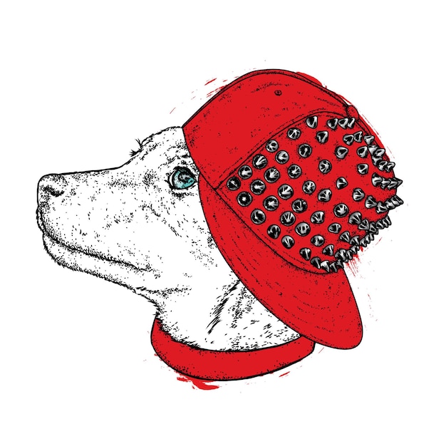 Vector dog in a stylish cap