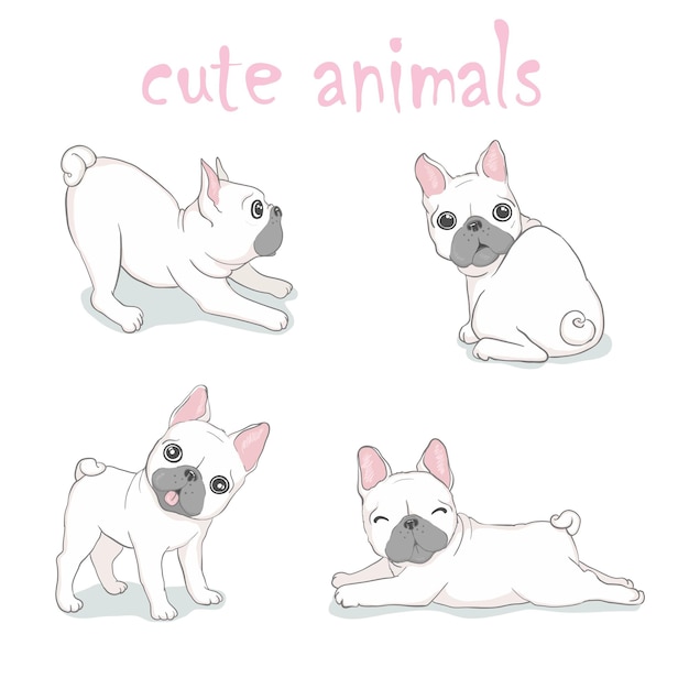 Dog vector french bulldog logo icon cartoon character illustration symbol white