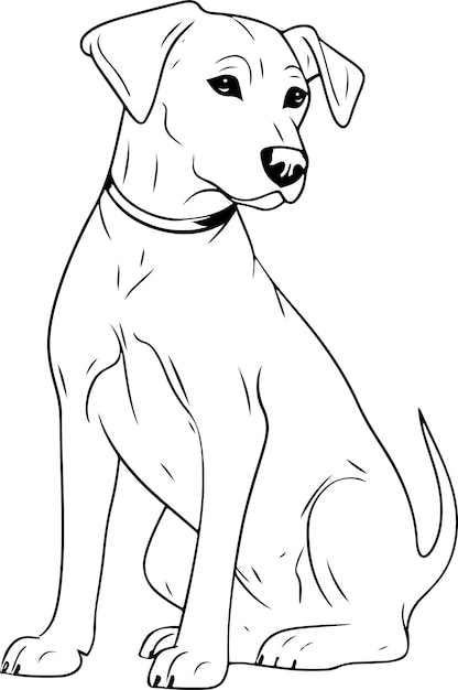 Dog vector illustration Coloring book or page for children