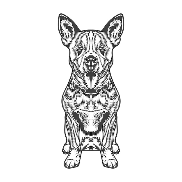 dog vector illustration design template white background