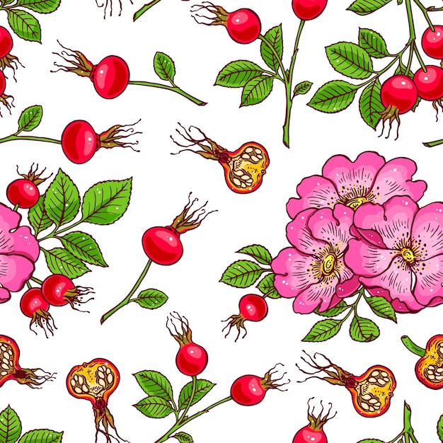 dogrose flowers and fruits pattern