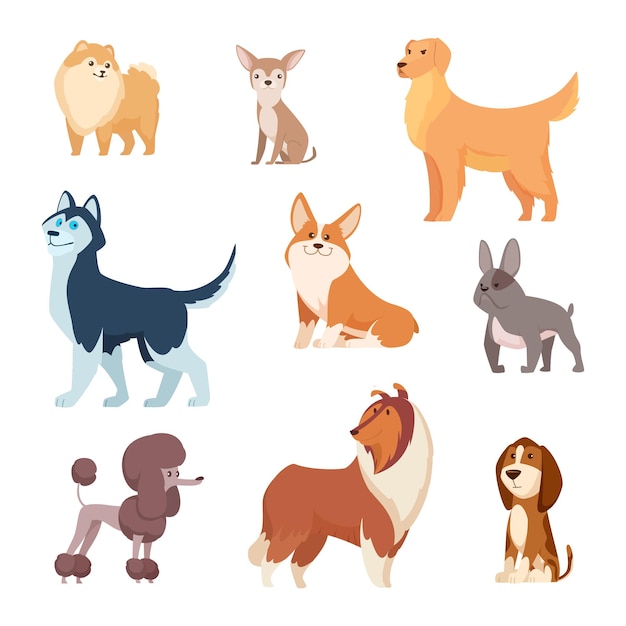 Dogs breeds Funny true and faithful animals playing in various poses cartoon puffy puppy poodle bulldog dachshund exact vector illustrations collection