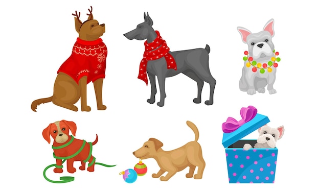 Vector dogs of different breeds collection cute pet animals with christmas accessories vector illustration on white background