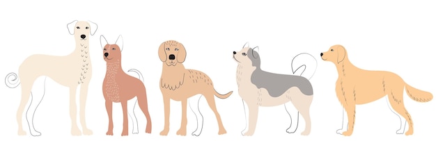 Dogs of different breeds doodle sketch outline isolated