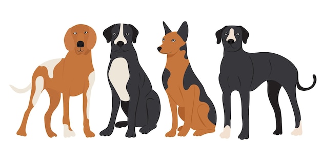 Dogs in flat design isolated vector