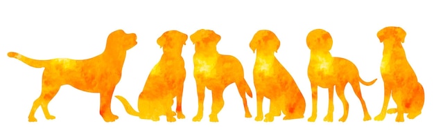 Dogs watercolor silhouette on white background isolated vector