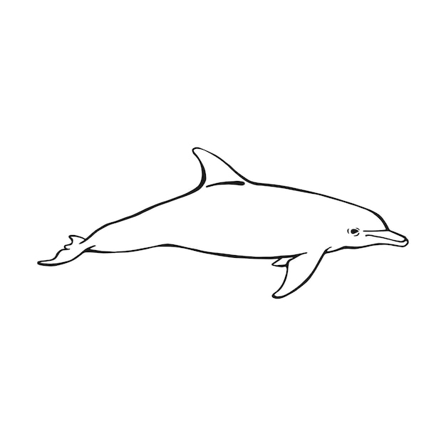 Dolphin Hand drawn illustration converted to vector Vector with animal underwater