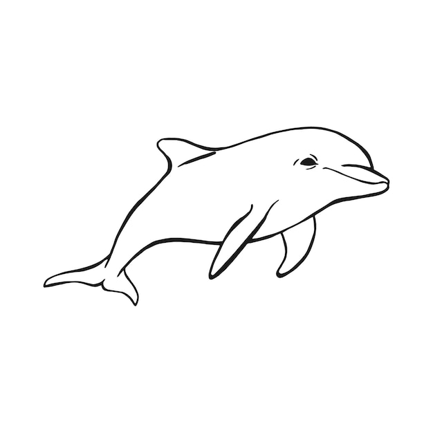 Dolphin Hand drawn illustration converted to vector Vector with animal underwater