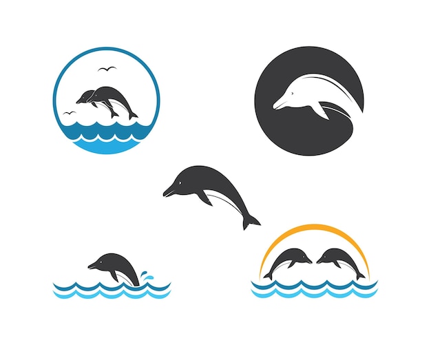 Dolphin logo icon vector