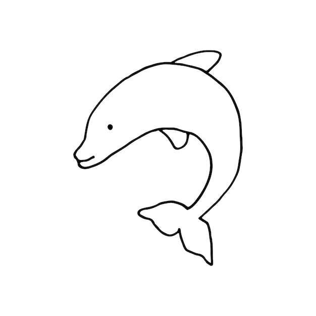 Dolphin sea animal mammals DoodleVector illustration Hand drawn Outline