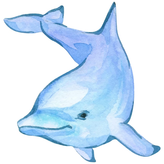 Dolphin watercolor illustration isolated element