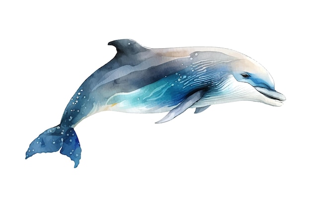 Dolphin Watercolor vector element Tattoo watercolor hand draw