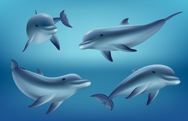 Dolphins realistic Ocean or marine animals swim fishes with flippers deep blue sea underwater fauna decent vector realistic dolphins collection