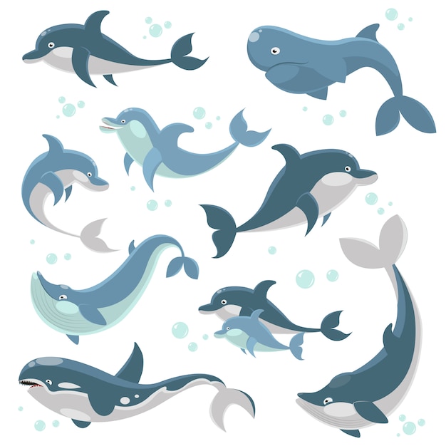 Dolphins and whales collection