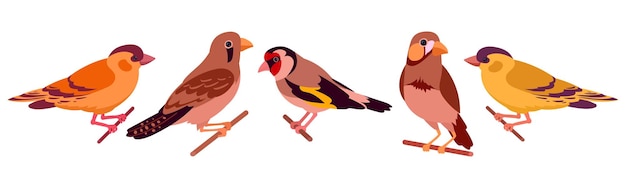 Domestic birds Decorative birds canary finch and goldfinch isolated flat vector illustration set Cartoon cute birds collection