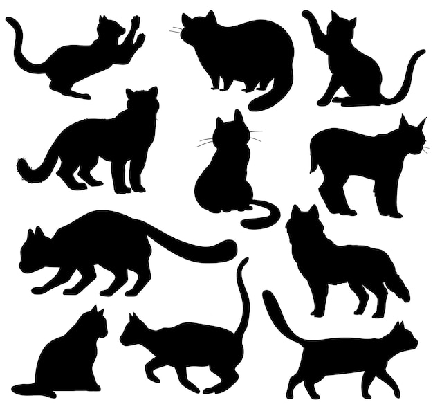 Domestic Cat Breeds Flat isolated Vector Silhouettes