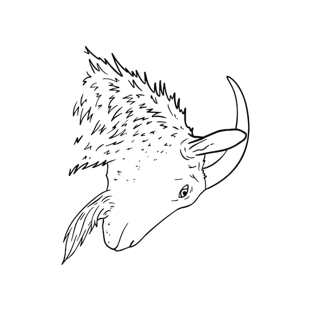 Domestic goat with horns livestock artiodactyl animal doodle linear cartoon coloring