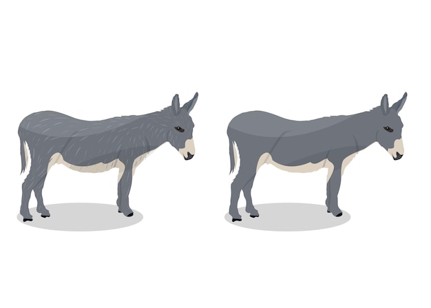 Donkey cartoon vector illustration on white background wild animal