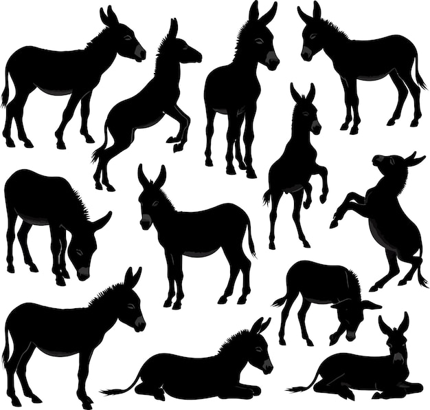 Donkey silhouette vector illustration set collection black on white background