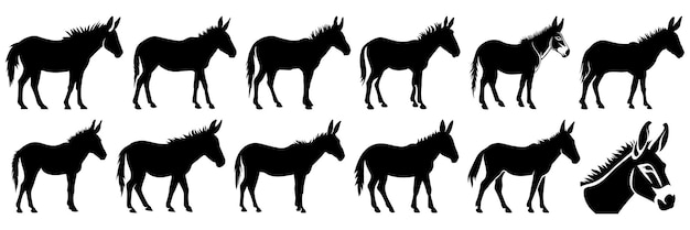 Donkey silhouettes set large pack of vector silhouette design isolated white background