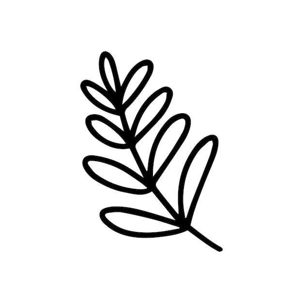 Doodle branch of flower Vector branch with leaves illustration Hand drawn doodle herb isolated