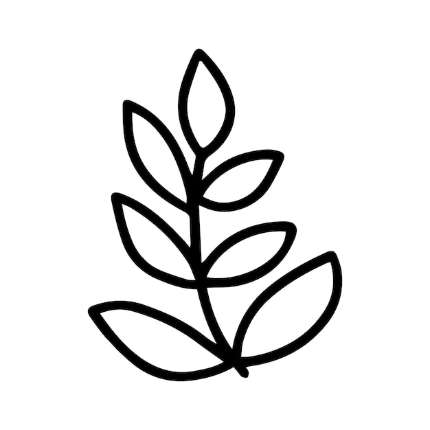 Doodle branch of flower Vector branch with leaves illustration Hand drawn doodle herb isolated