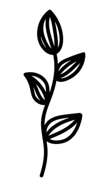 Doodle branch with leaves decorative element. Botanical vector illustration design, isolated black