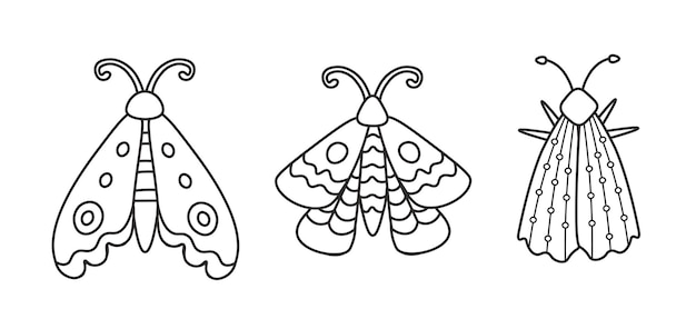 Doodle butterfly collection