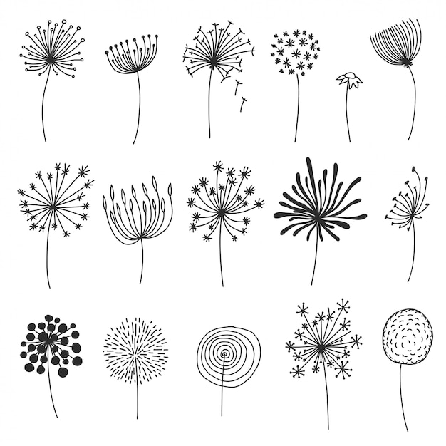 Doodle dandelion set. Hand drawn blowballs or flowers with fluffy seeds, floral silhouettes design elements