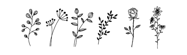 Doodle flower sketch Floral elements Vector spring drawing