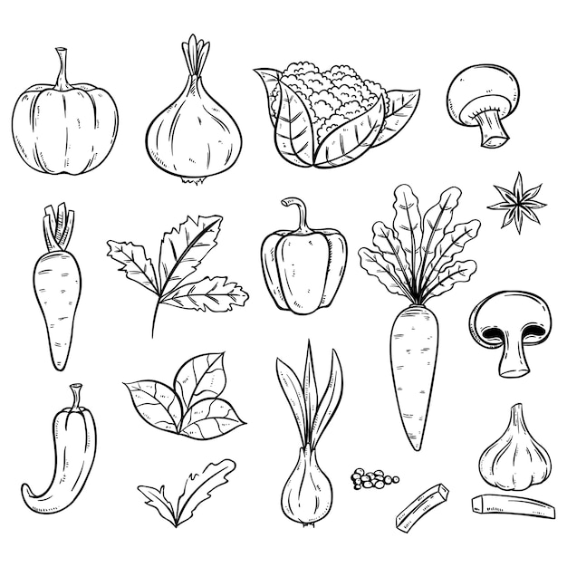 Doodle fresh vegetables illustration organic food