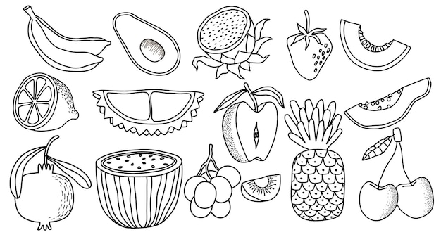 doodle hand drawn collection of fruits