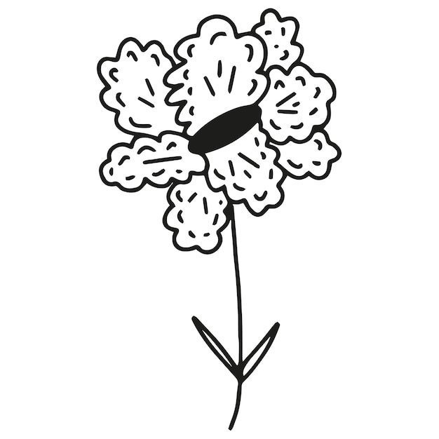 Doodle hand drawn flower