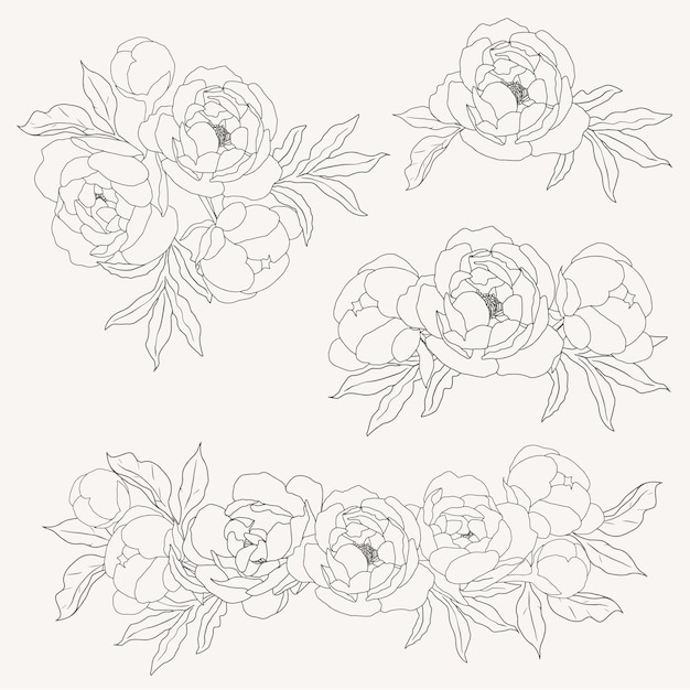 Doodle line art peony flower bouquet elements collection