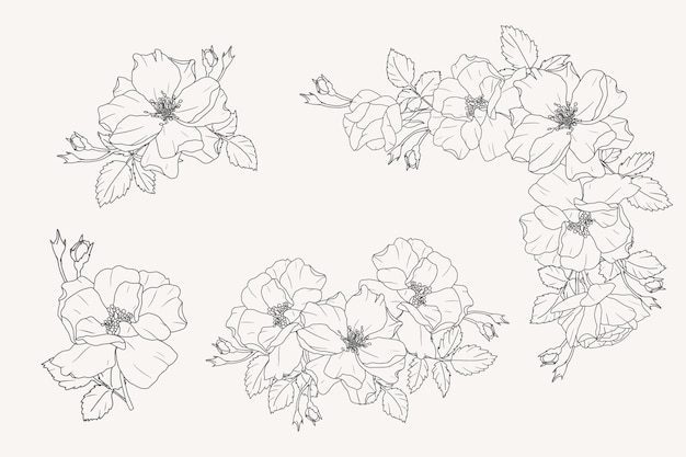 Doodle line art rose flower bouquet elements collection