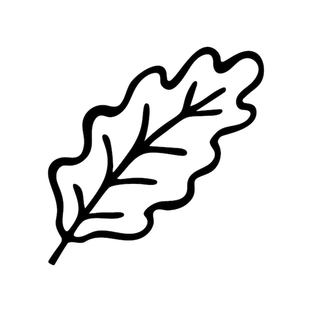 Vector doodle oak leaf hand drawn vector illustration