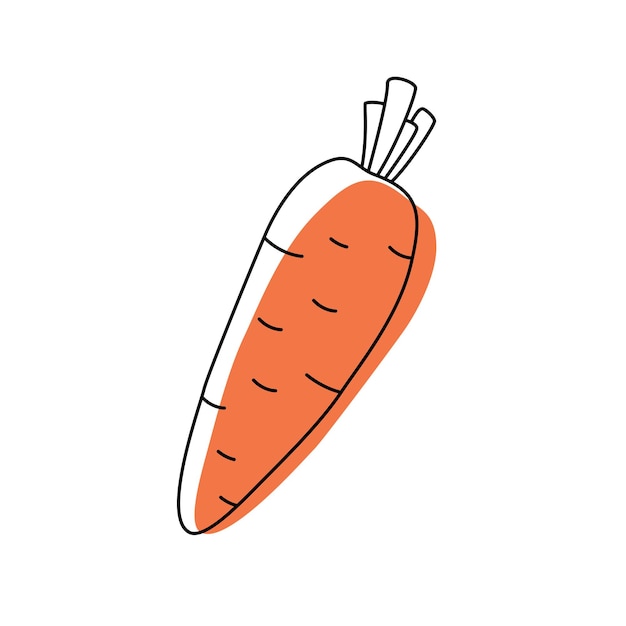 Doodle outline carrot with spot Vector illustration for packing