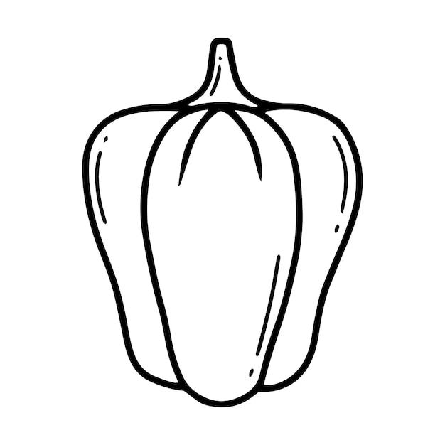 Doodle pepper Bell pepper Doodle style Vector illustration