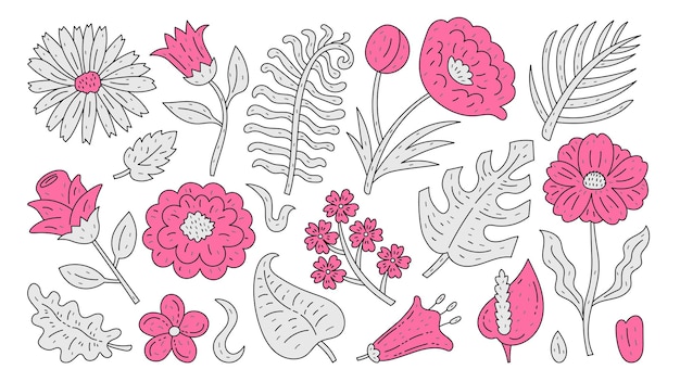 Doodle Plants Flowers and Leaves set