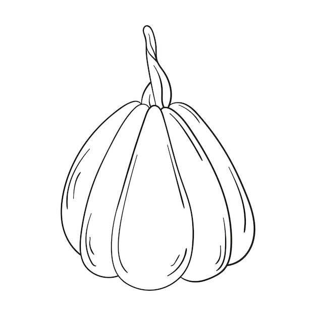 Doodle pumpkin isolated on a white background