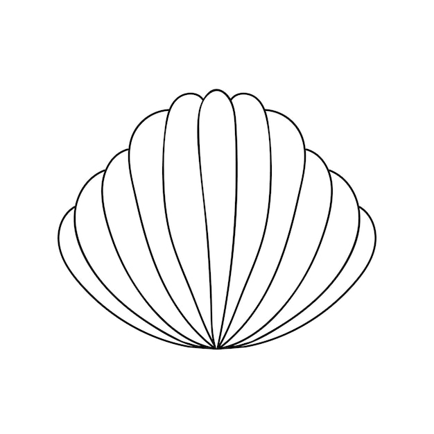 Doodle sea shell vector illustration Hand drawn seashell isolated Colouring page with sea shell