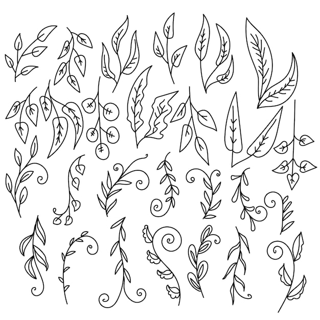 Vector doodle set of herbs and plants with ornate leaves contour twigs and curled branches