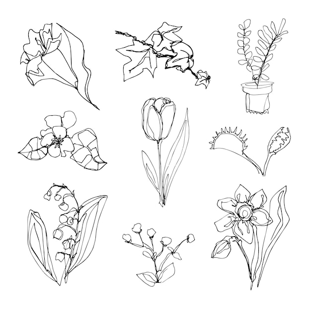 Doodle set with flower elements